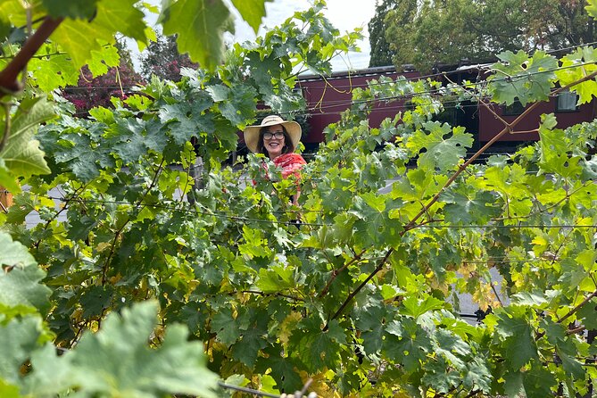 Yountville Food and Wine Tour in Napa - The French Laundry area and the final pairing
