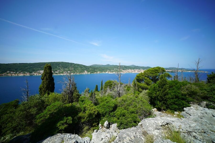 Zadar: Guided Speedboat Tour with Food, Oil & Wine Tasting - The Speedboat: Fun, Fast, and Not Always Smooth